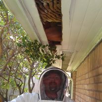 San Antionio Beekeeper